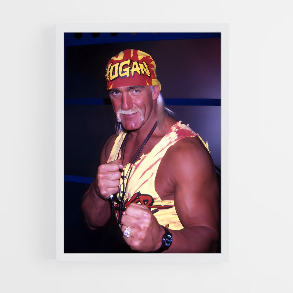 Poster Hulk de hogan (vue 3)